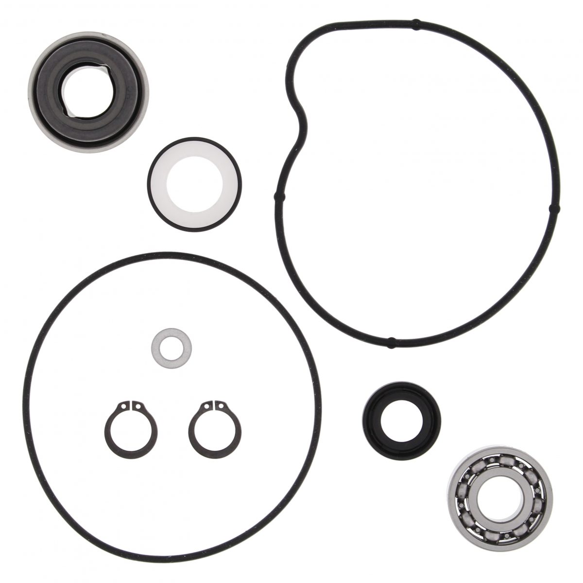 WATER PUMP REBUILD KIT