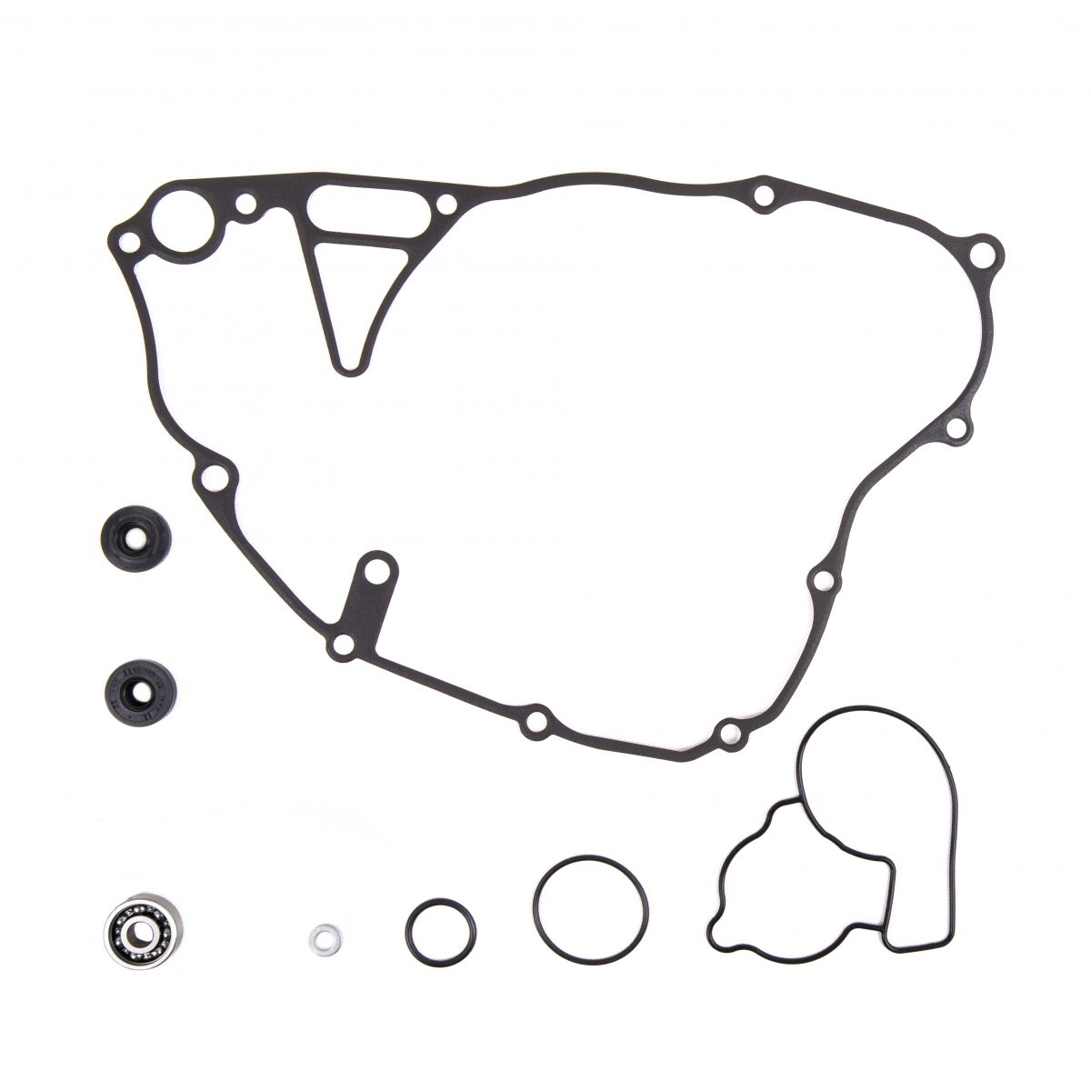WATER PUMP REBUILD KIT