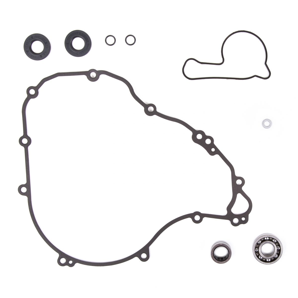 WATER PUMP REBUILD KIT