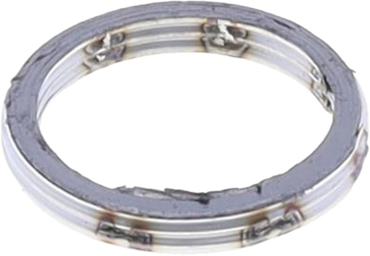 EXHAUST GASKETS