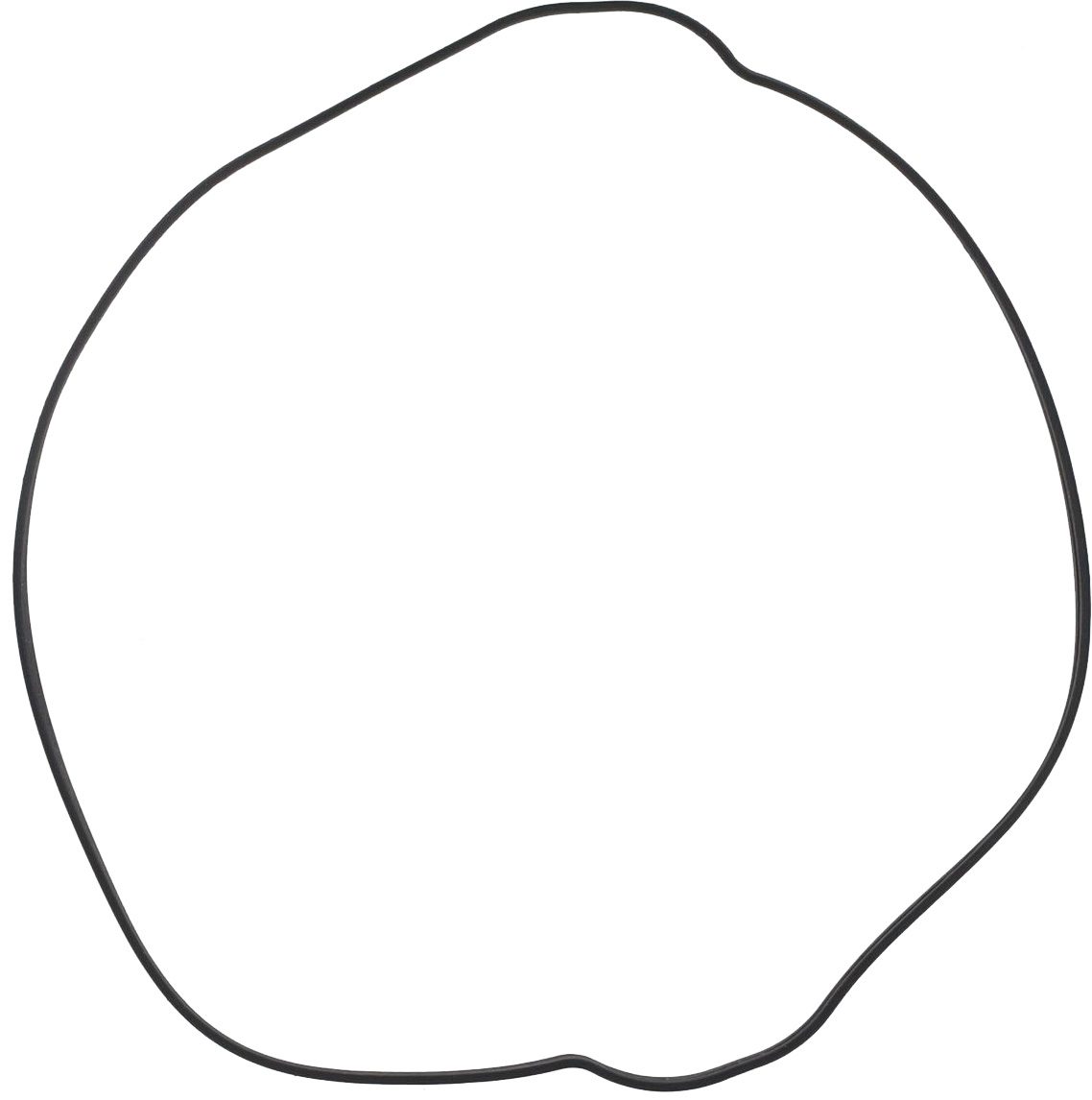 OUTER CLUTCH COVER GASKET