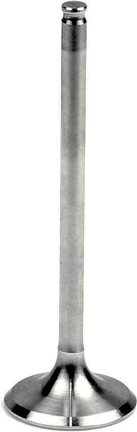 STEEL EXHAUST VALVE