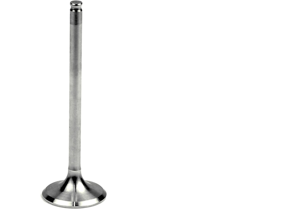 STEEL EXHAUST VALVE
