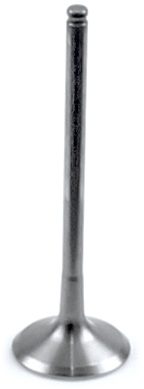 TITANIUM EXHAUST VALVE