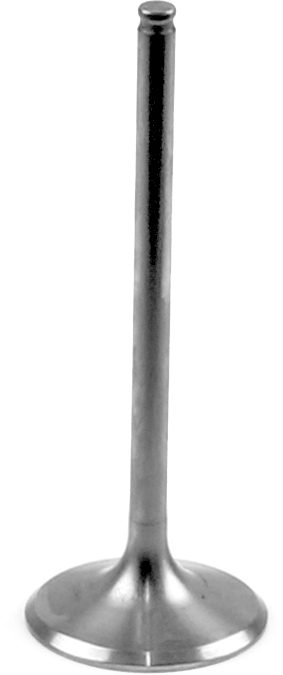 TITANIUM INTAKE VALVE