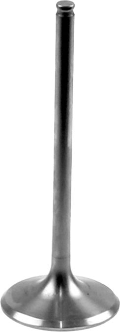 TITANIUM INTAKE VALVE