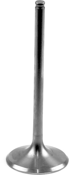 TITANIUM INTAKE VALVE