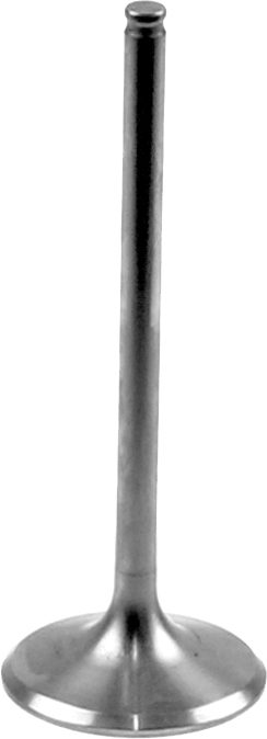 TITANIUM INTAKE VALVE