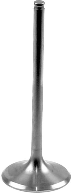 TITANIUM INTAKE VALVE