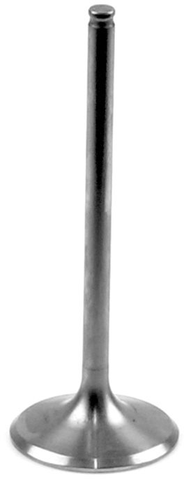 TITANIUM INTAKE VALVE